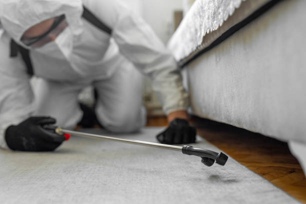 Professional Bed Bug Control technician working in Pinckneyville, IL