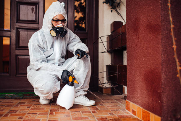 Reliable Bed Bug Control contractor in Pinckneyville, IL by Nex Pest Control