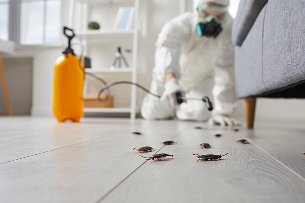 Trusted Rodent Control service in Pinckneyville, IL - Nex Pest Control